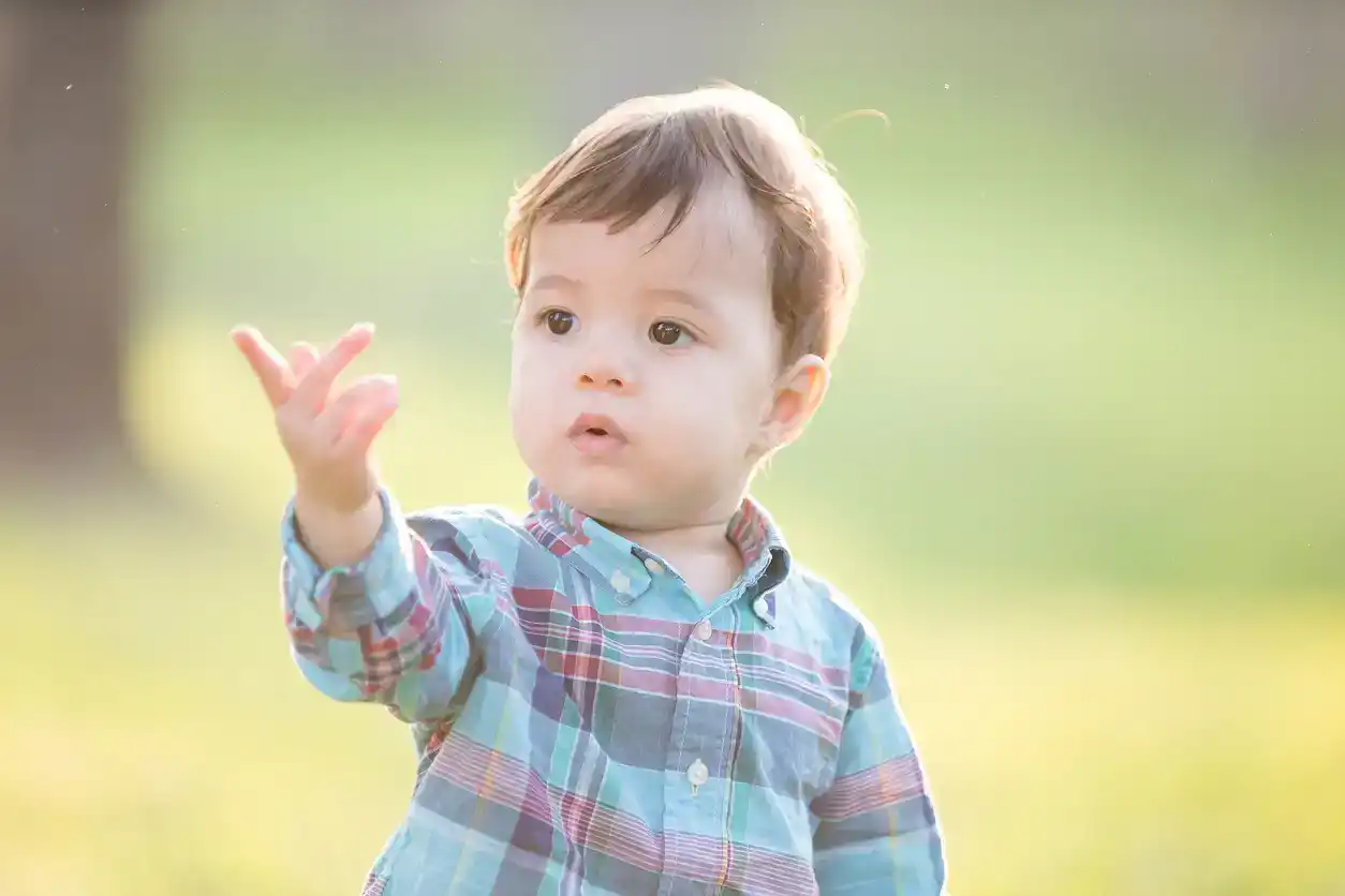 Baby sign language
