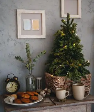 Un pequeño árbol de Navidad real en una cesta.
