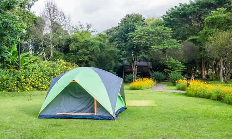 backyard camping at-home summer camp activity