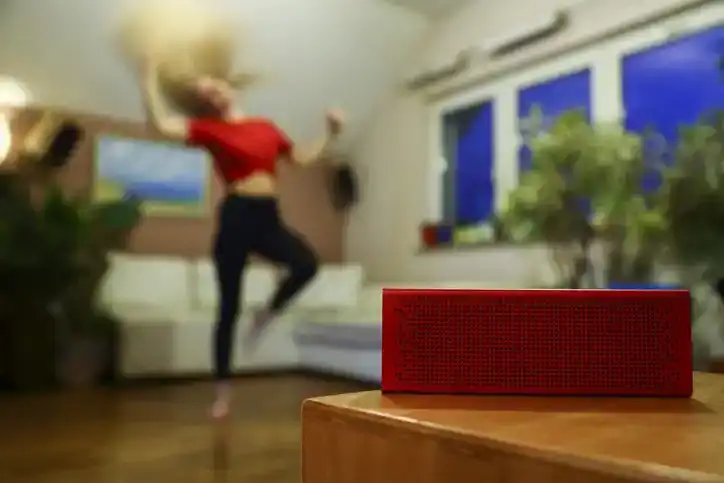 Bluetooth Speaker