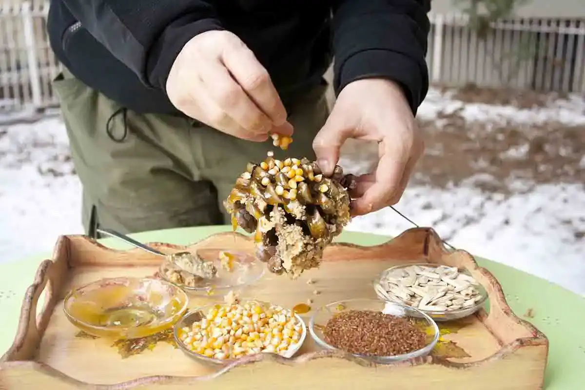 Bird Feeder