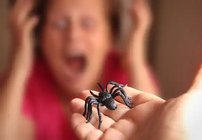 Buggy Surprise