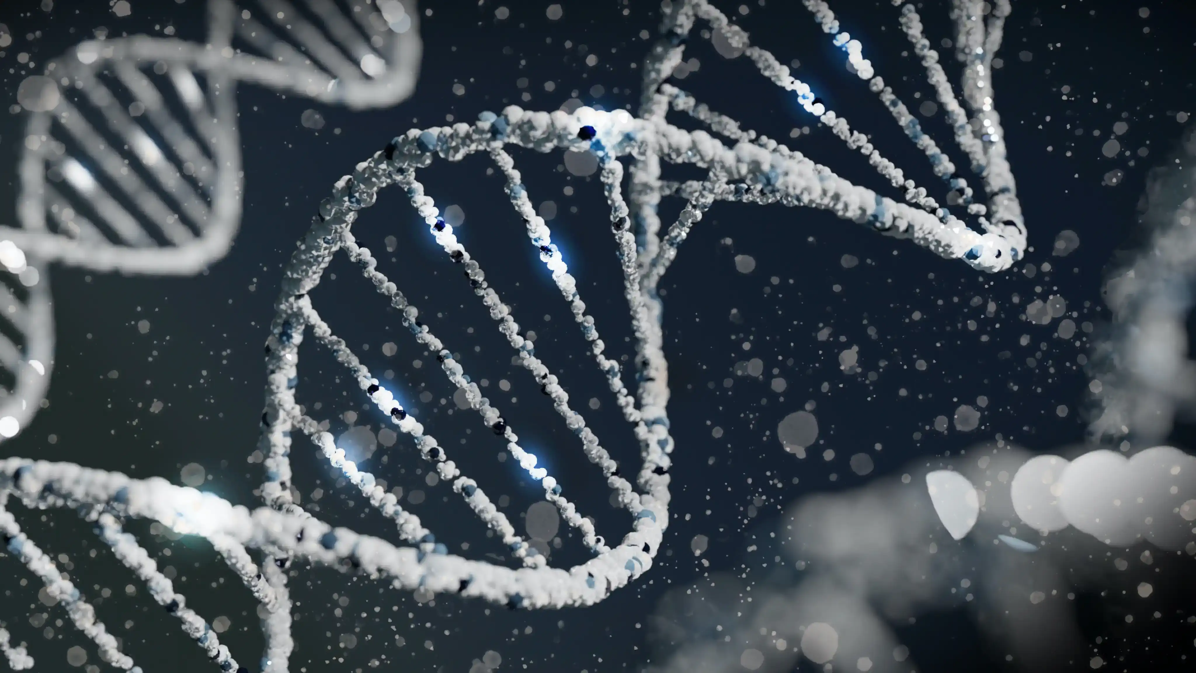are personality traits genetic?