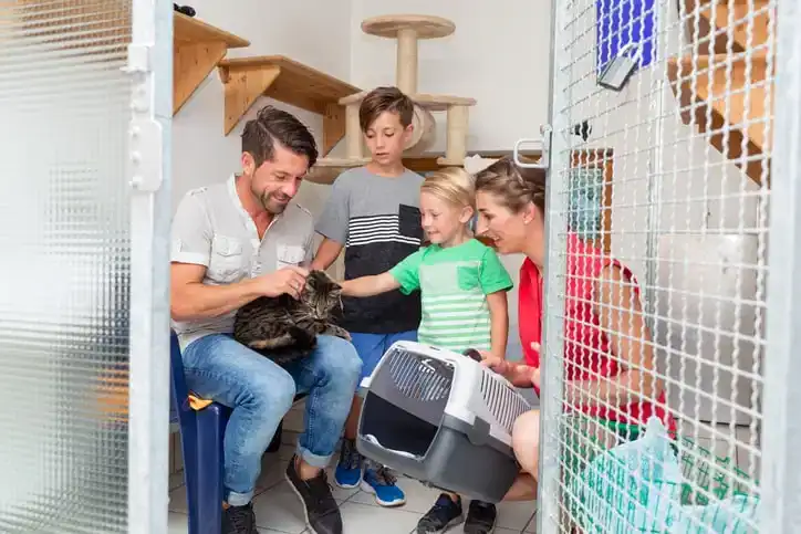 Family adopting cat from animal shelter taking her home