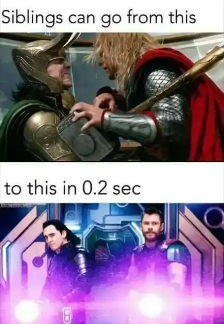 Meme 16