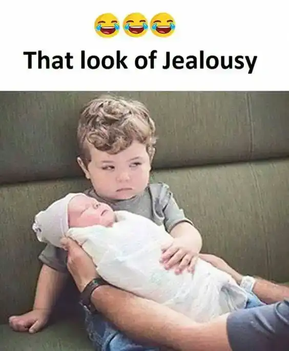 Meme 3