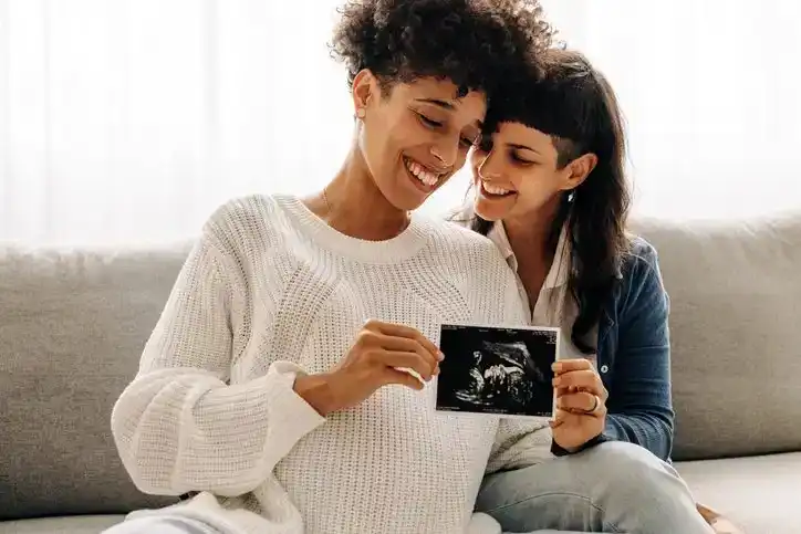 Alternatives to LGBTQ Adoption