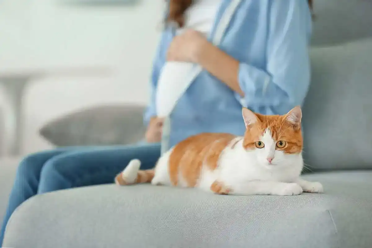 The Danger of Pets During Your Pregnancy