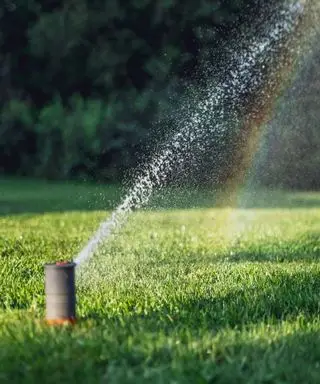 irrigatore sul prato