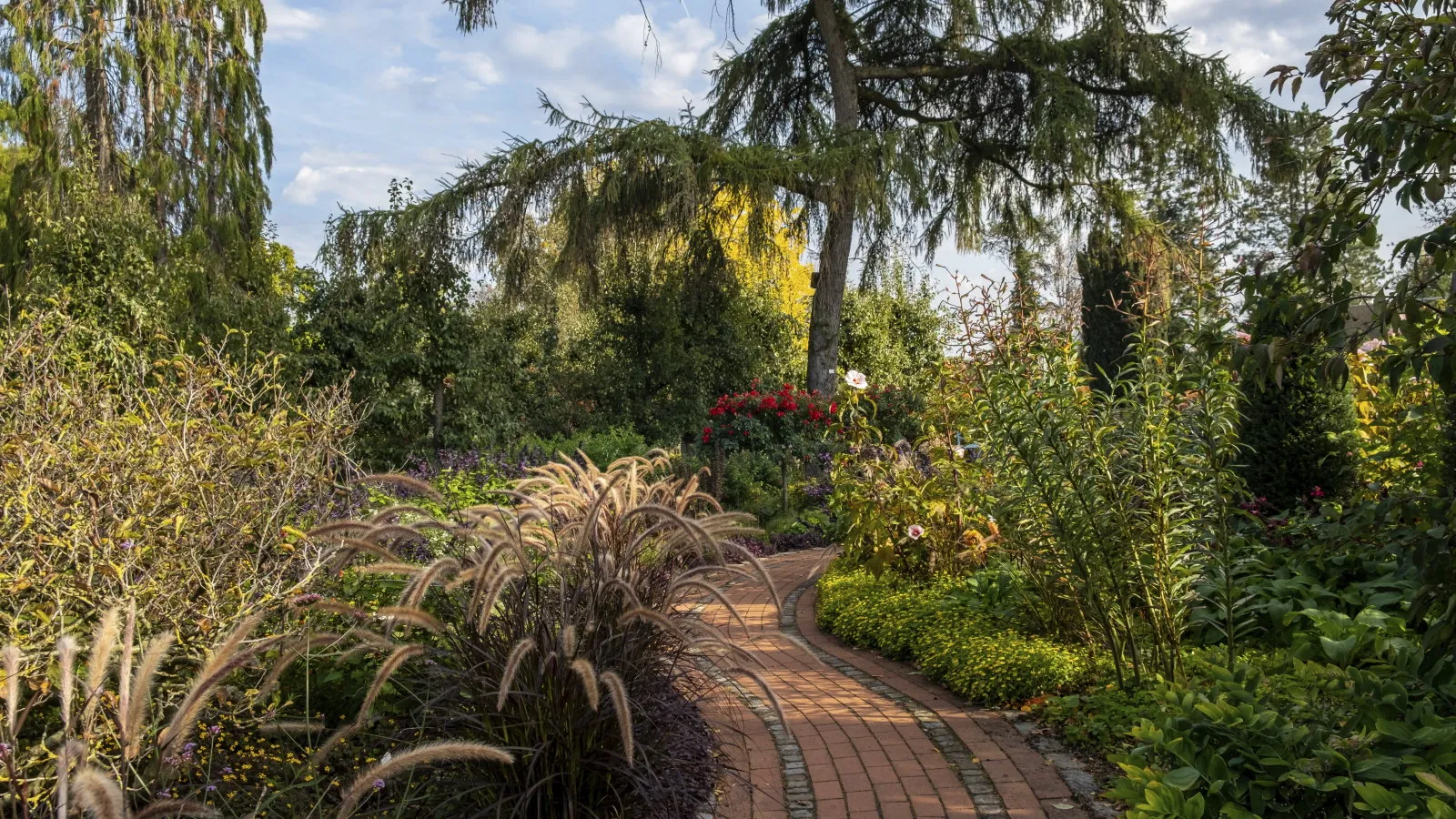 En buet mursteinsti fører gjennom en hage med blomster gress og et stort sedertre' loading='lazy' title=