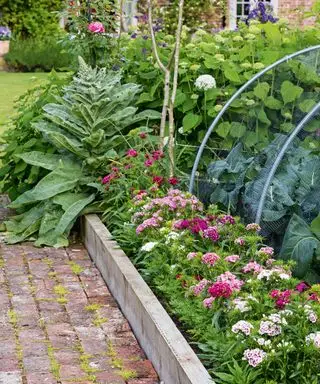 Ideas de jardín de camas elevadas con espacio