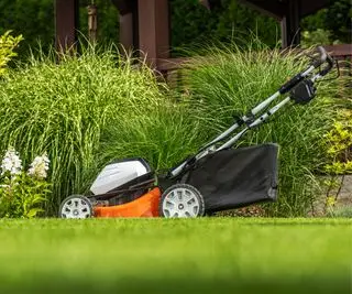 Ein Akku-Rasenmäher in einem Garten