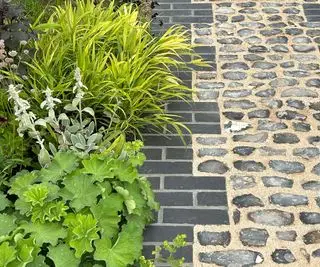 Camino adoquinado del jardín bordeado de alchemilla mollis
