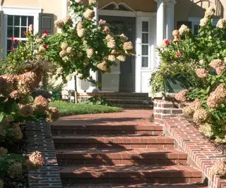 patio delantero con hortensias