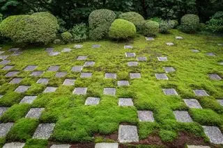 Moosgarten