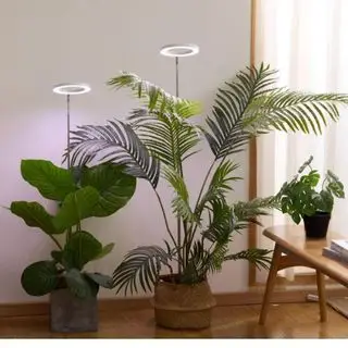 熱帯植物の上に背の高い植物育成ライト