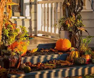 Calabazas sin tallar en los escalones del porche