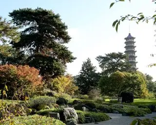 Il giardino giapponese dei Royal Botanic Gardens Kew con alberi, un sentiero e un tempio