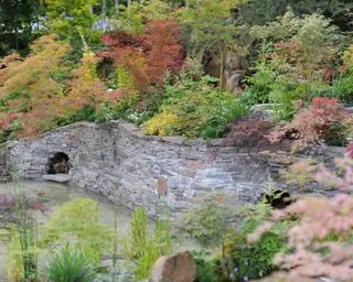 Un esempio di idee per il giardino giapponese che mostra un muro di pietra circondato da alberi