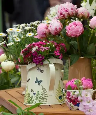 peonie usate come fiori recisi nei vasi