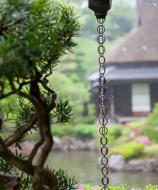Catena della pioggia in un giardino bagnato