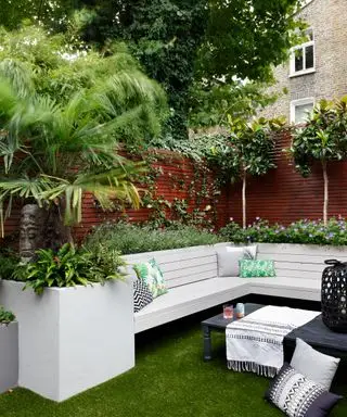 Uma ideia de jardim voltado para o norte com banco branco, samambaias e folhas