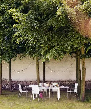 Uma ideia de jardim voltada para o norte com mesa e cadeiras sob as árvores.