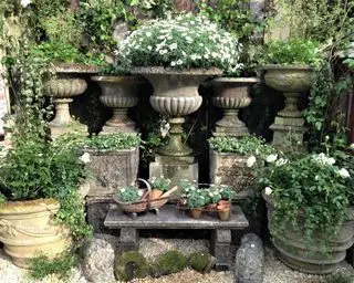 Idéias de paisagem voltadas para o norte com plantadores de pedra