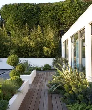 Um deck de jardim de madeira cercado por plantas verdes.