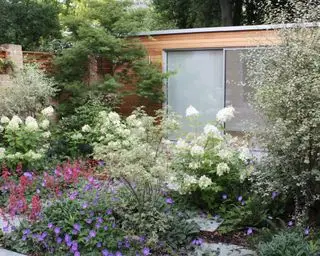 jardim virado a norte com canteiros de flores plantados