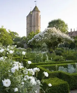 hvid have ved sissinghurst med kassehæk
