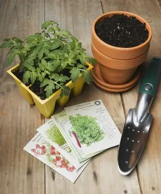Sachets de graines avec pot de fleurs, truelle et plants