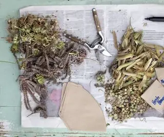 Flatlay de gousses et d'étiquettes