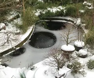 Imagem de um grande lago de carpas congelado no jardim de inverno coberto de gelo e neve