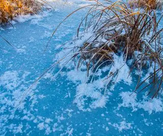 Padrões de gelo no lago nos juncos