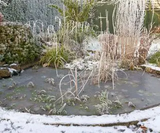 Lago de jardim congelado no inverno