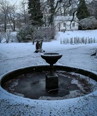 Um jardim de inverno gelado com um lago de pedra