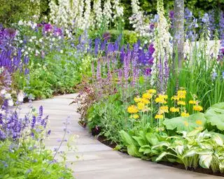 混合植栽を特徴とするイングリッシュ ガーデンの境界線