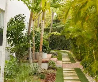 allée de jardin avec arbres et plantation