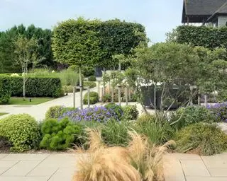 フォーマルな庭園デザインに植栽を組み合わせた現代的なパルテール庭園