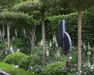 常緑のドームと標準的な木を、シンプルなパレットと彫像に緩やかな植栽と混ぜ合わせたもの