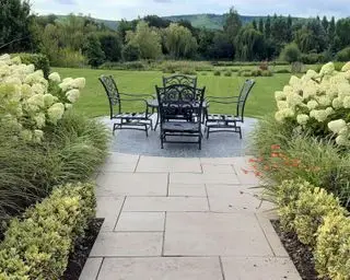 フォーマルな庭園で使用される長く開花するアジサイ