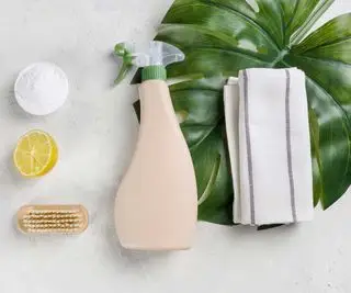 produits de nettoyage naturels et feuille de monstera