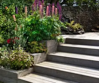 degraus de deck de madeira com bordas cheias de flores