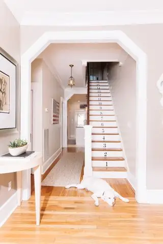Pasillo con piso de madera y corredor y escalera con números pintados en cada tramo más perro tirado en el piso