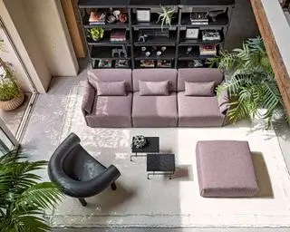 Foto olhando para o sofá modular roxo e pufe combinando, grande tapete creme, plantas de casa, poltrona de couro, mesas de metal