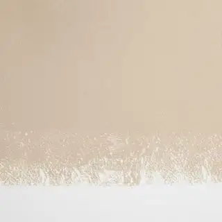 베이지색 페인트