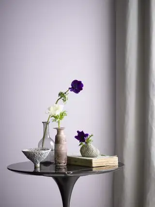Benjamin Moore afrikansk viol