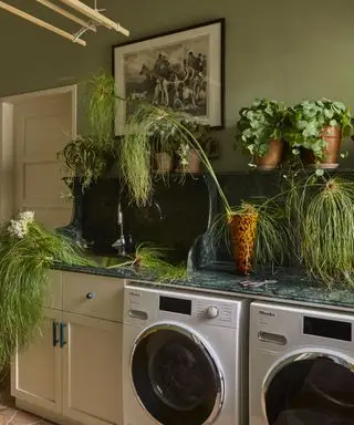 Sala verde, tendedero de madera, encimera verde