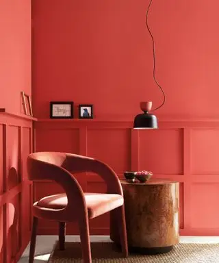 Benjamin Moore Barva roku 2023 - Malinová tvářenka